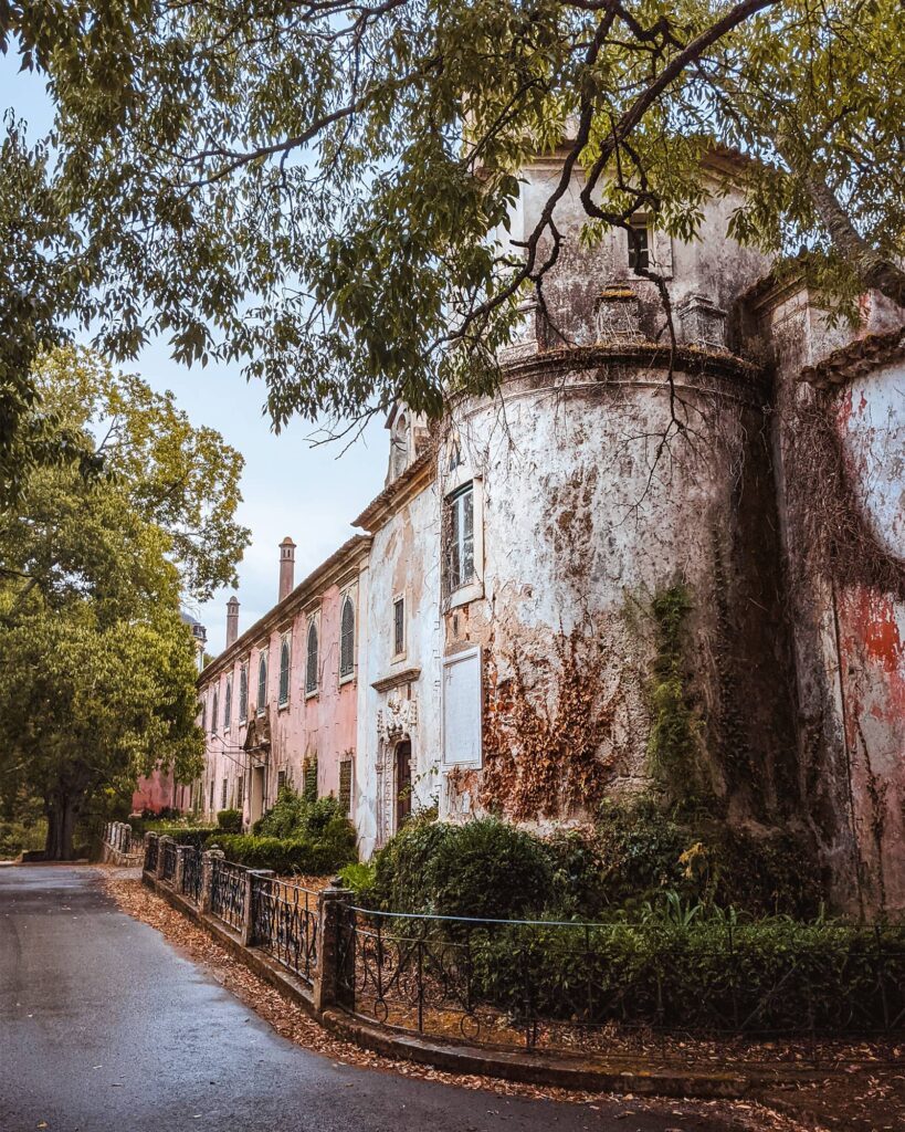 White and pink abandoned buildings covered in vines, with hedges in front and fallen leaves on the ground