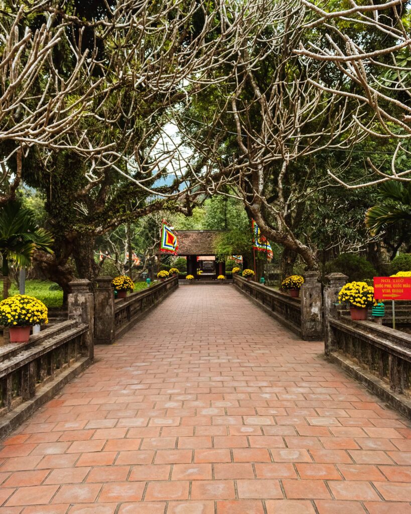 Tree-lined brick path that leads to a pagoda in Hoa Lu Ancient Capital